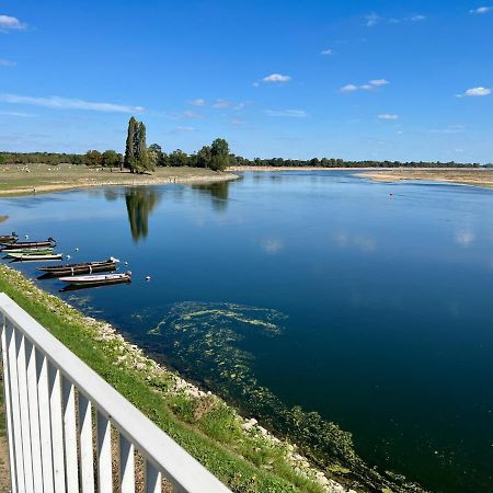 Gite Loirizon Vue Loire 4 Personnes Ingrandes  Екстериор снимка
