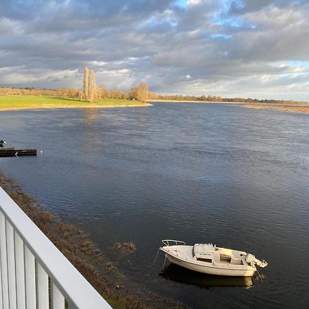 Gite Loirizon Vue Loire 4 Personnes Ingrandes  Екстериор снимка