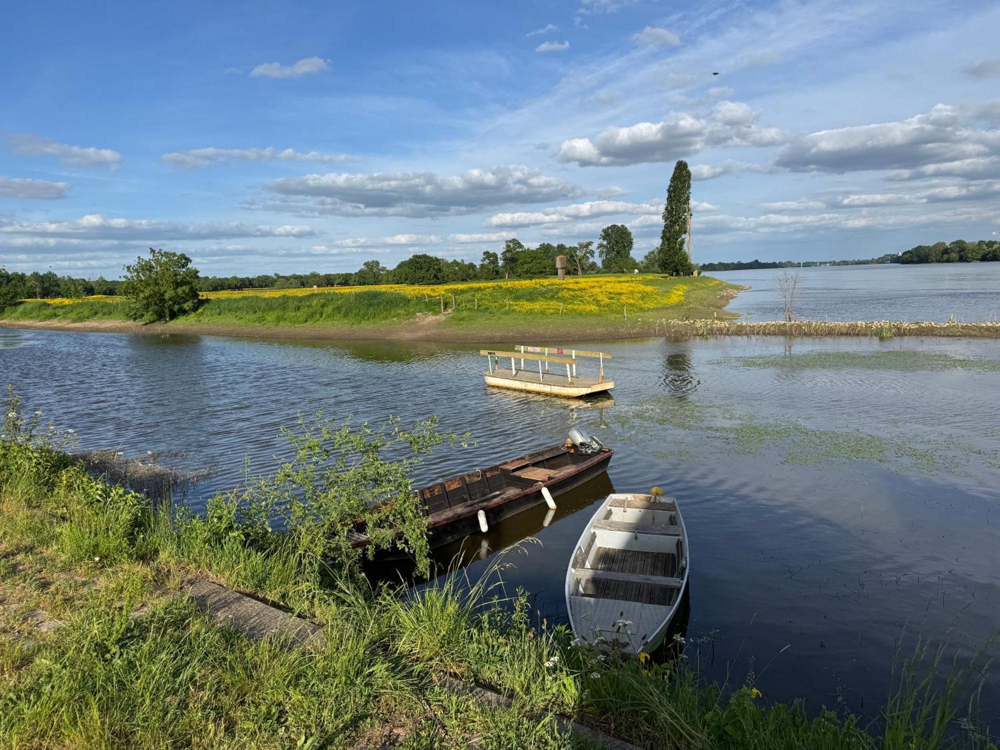 Gite Loirizon Vue Loire 4 Personnes Ingrandes  Екстериор снимка